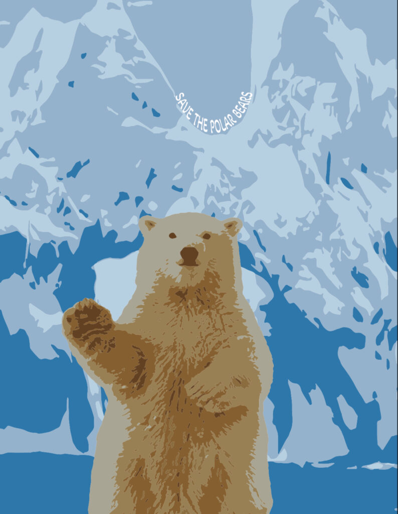 polar bear poster