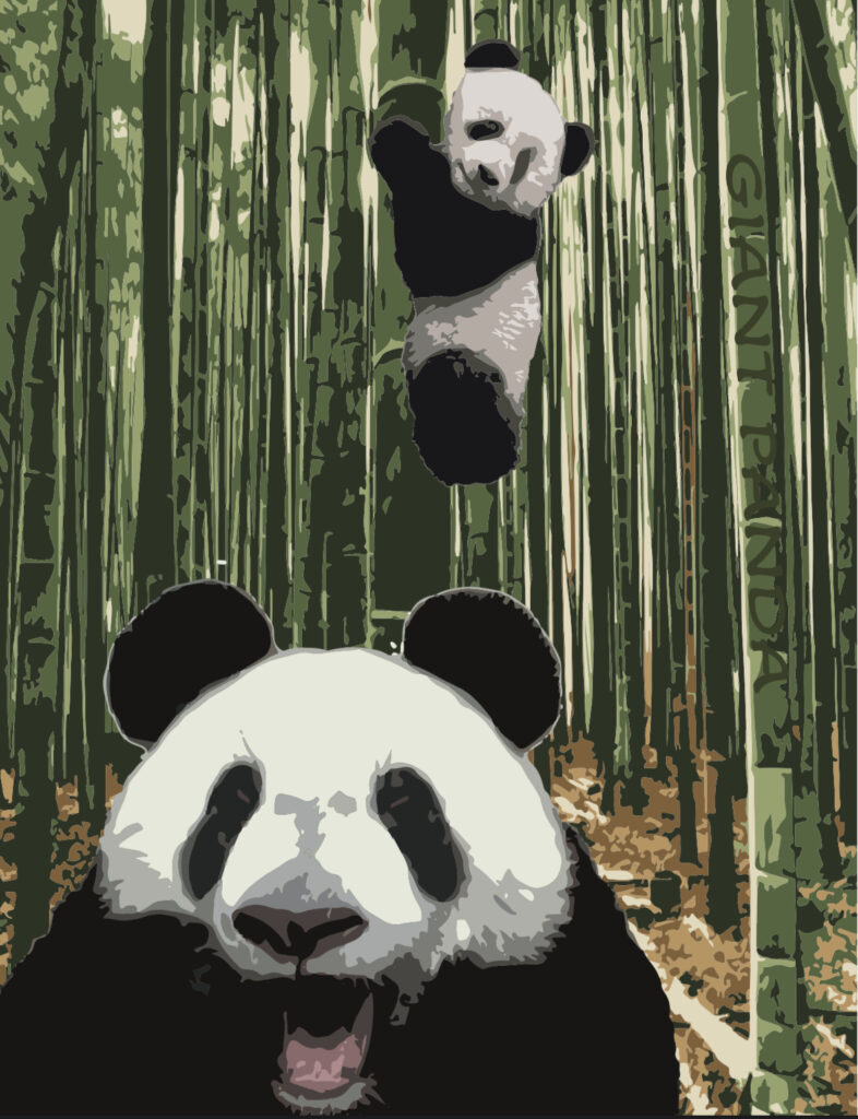panda poster