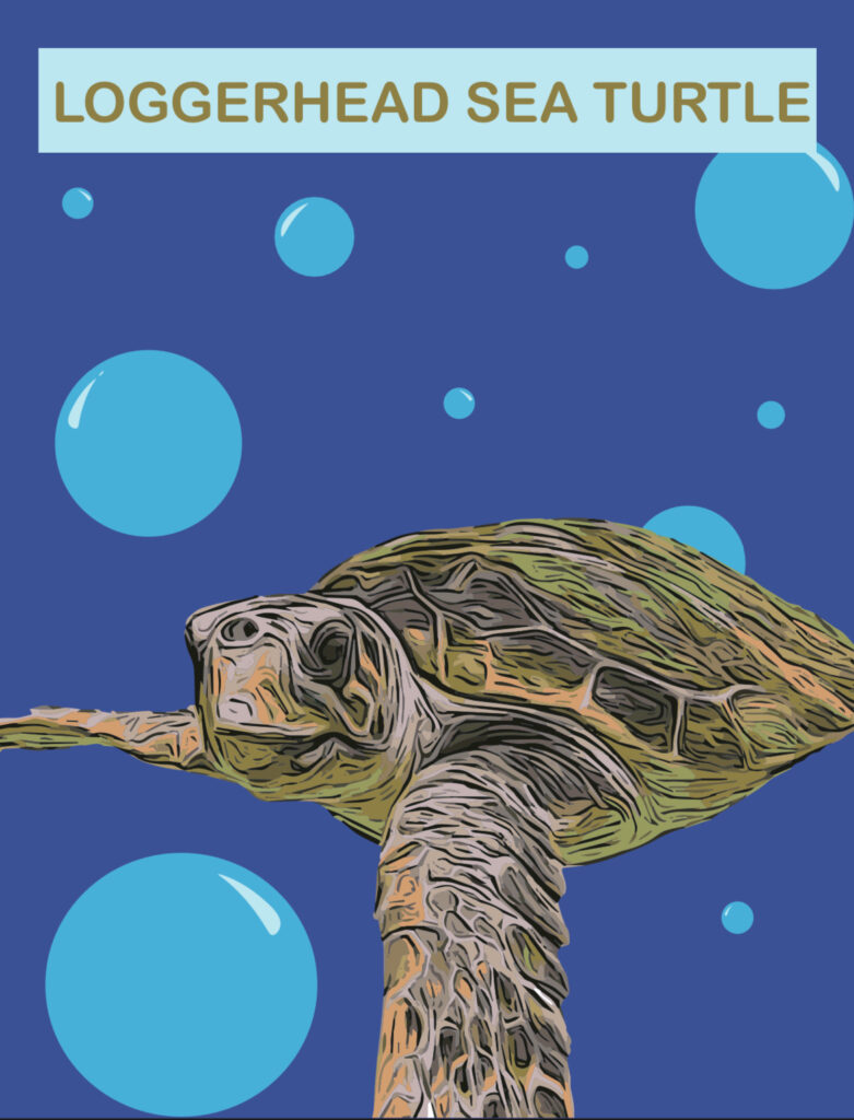 turtle poster